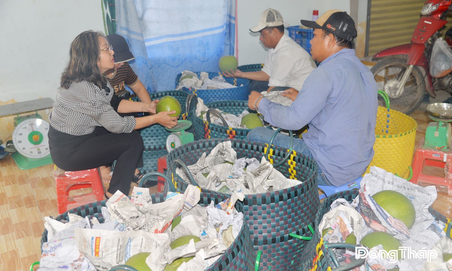 ស្ត្រីដុងថាបលើកកម្ពស់តួនាទីរបស់ពួកគេនៅក្នុងសេដ្ឋកិច្ចសមូហភាព 3.jpg