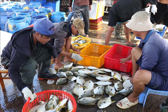 ຄຳບັນຍາຍຮູບພາບ