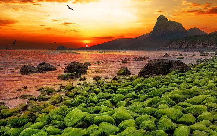 ຮັກແພງຄອນດາ.