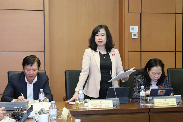 Bộ trưởng Bộ Y tế Đào Hồng Lan góp ý dự thảo Văn kiện trình Đại hội XIV của Đảng- Ảnh 2.