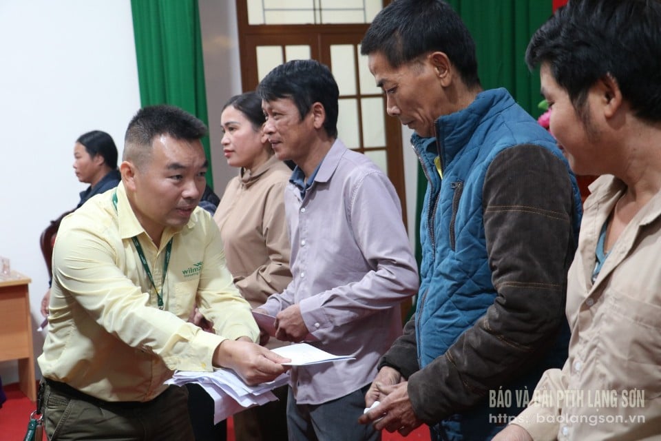 Представители Wilmar CLV Group, Хошимин, оказали поддержку домохозяйствам, пострадавшим от дождей и наводнений в коммуне Тьен Тан.