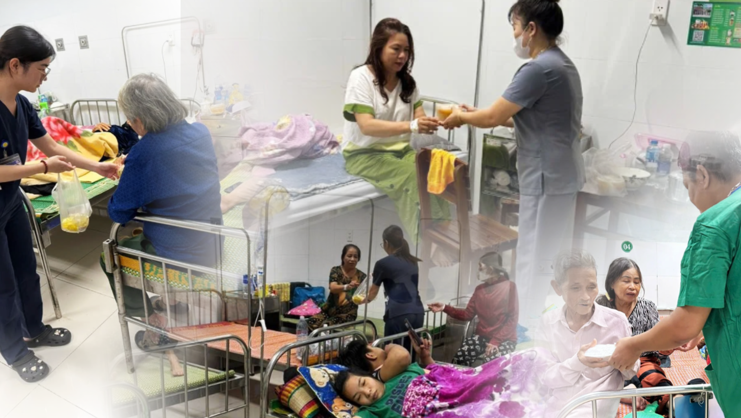 'Thiên thần áo trắng' và cuộc chiến với lũ dữ- Ảnh 3.