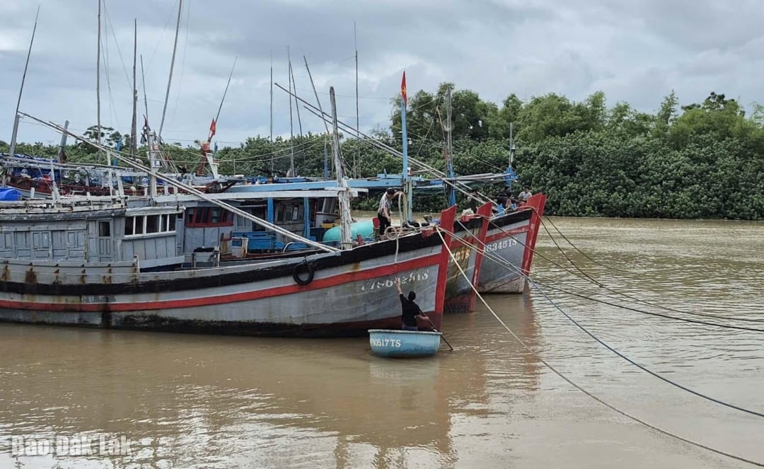 Fishermen brought their boats into shelters to avoid the storm.