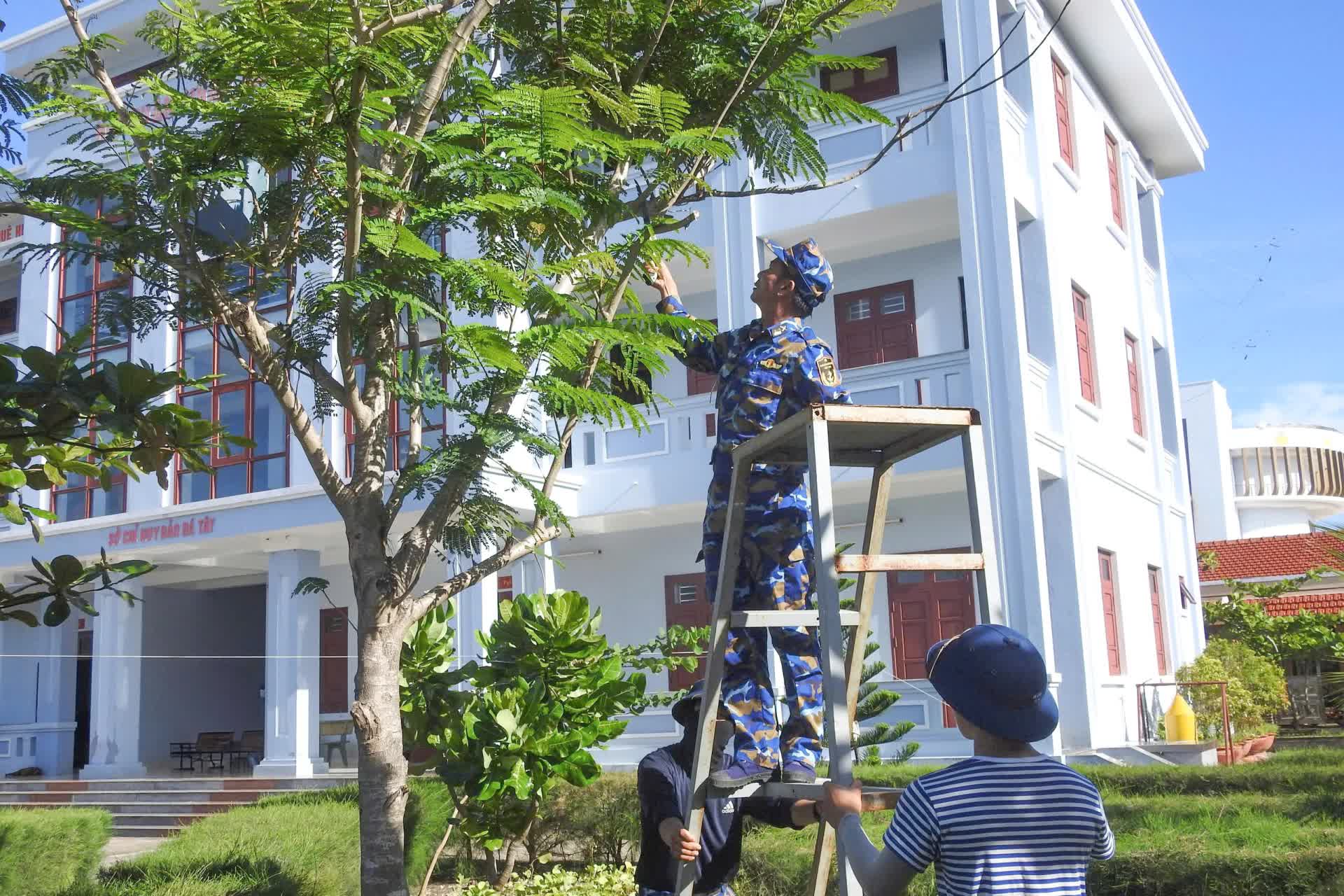  Khánh Hòa, Gia Lai chủ động ứng phó bão Kalmaegi - Ảnh 9.