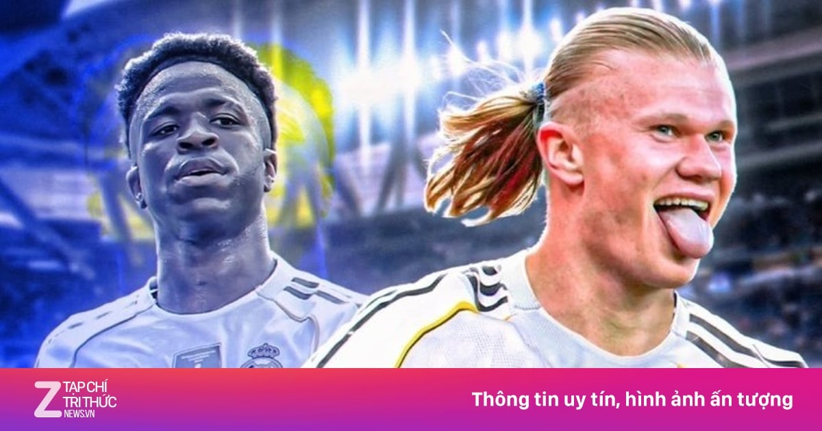 홀란드 관련 보도 이미지