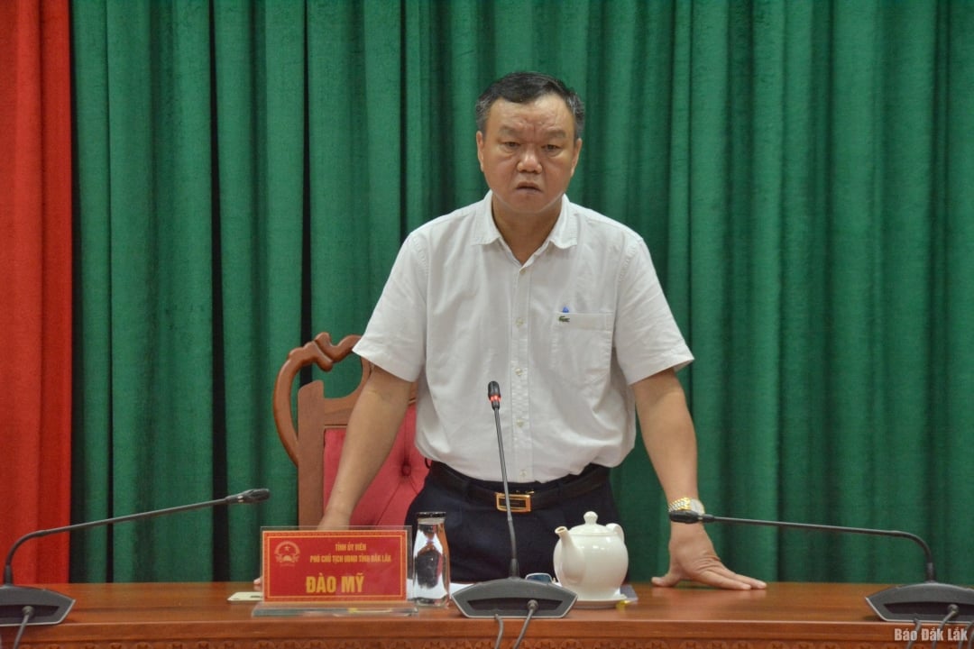 Đồng chí Đào Mỹ, Tỉnh ủy viên, Phó Chủ tịch UBND tỉnh, Trưởng Ban Chỉ đạo phát biểu tại cuộc họp.