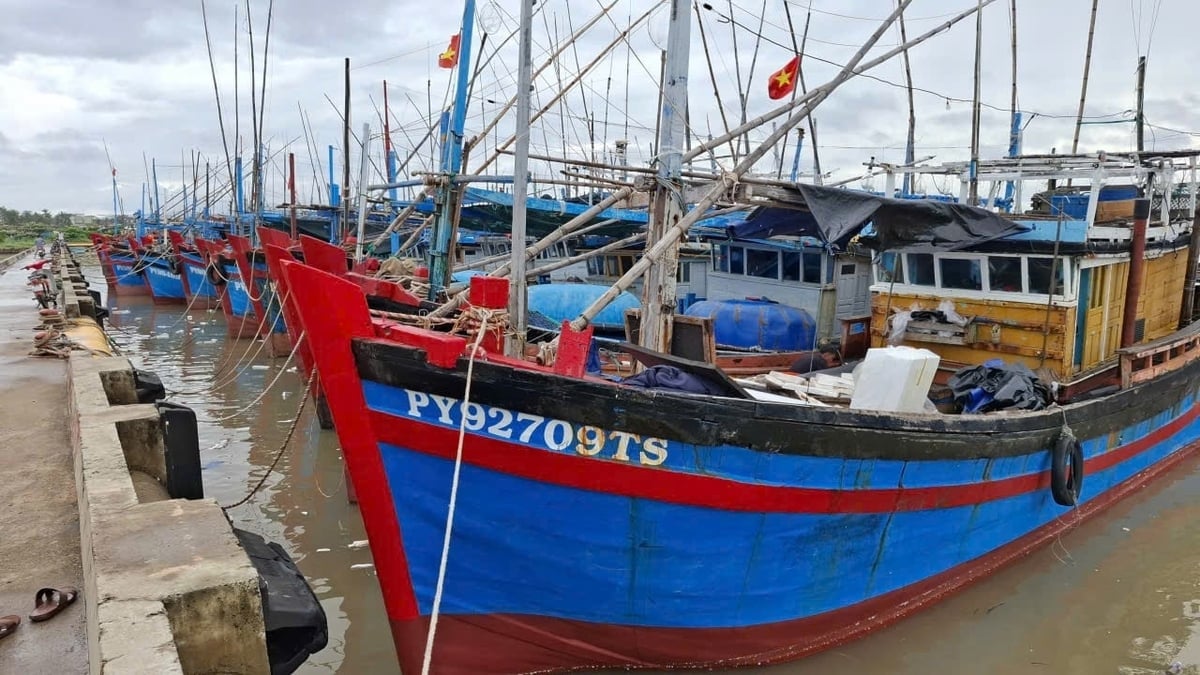 Fishing boats in dangerous areas need to quickly move to shore or anchorage for safe shelter. Photo: Manh Hoai Nam. Tàu cá trong vùng nguy hiểm cần nhanh chóng di chuyển vào bờ, khu neo đậu để tránh trú an toàn. Ảnh: Mạnh Hoài Nam.