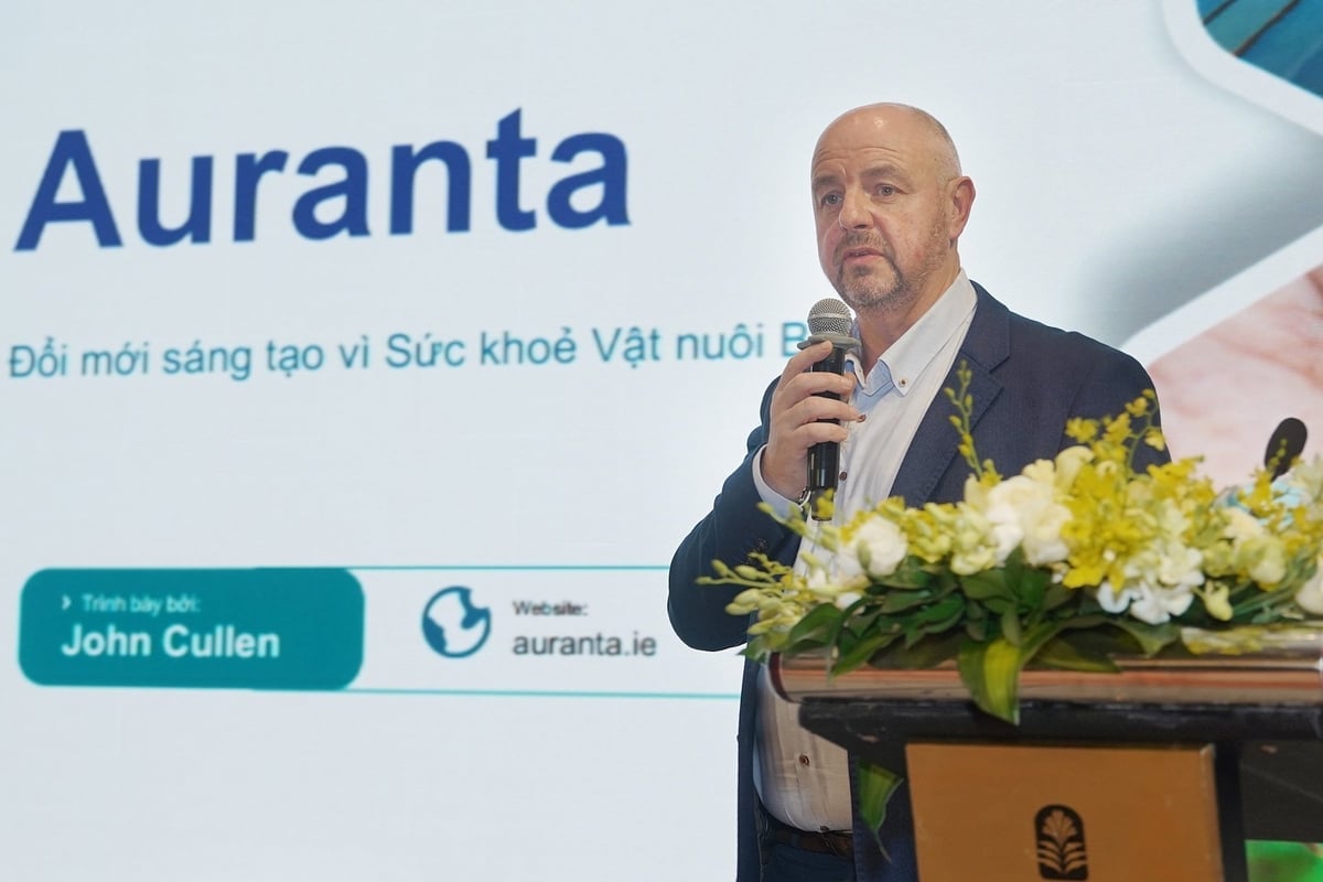 Ông John Cullen, Giám đốc điều hành Auranta. Ảnh: Bảo Thắng.
