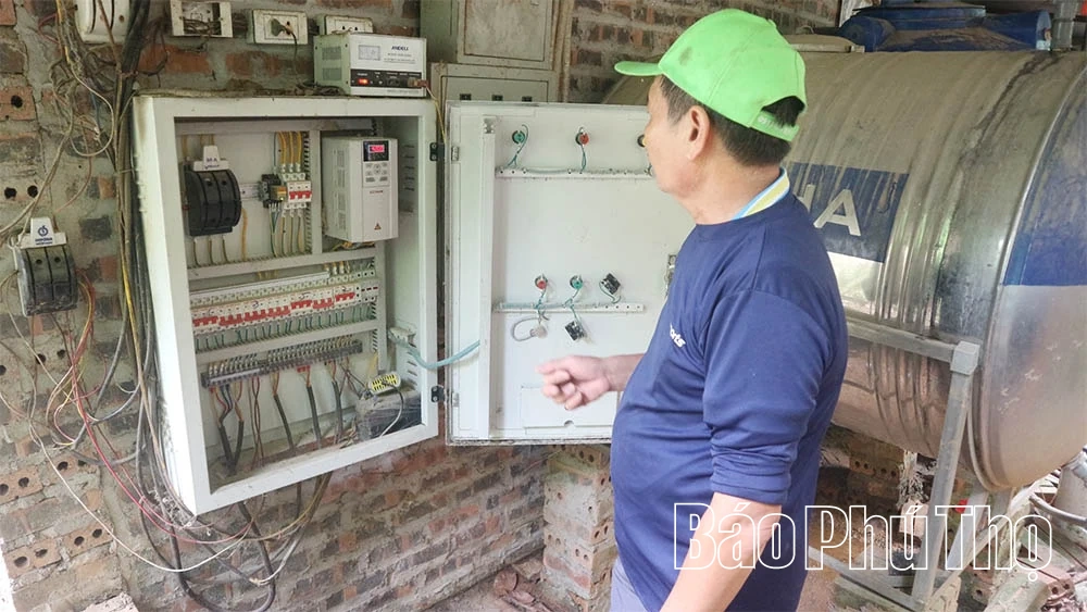 Get rich from high-tech egg-laying chicken farming model