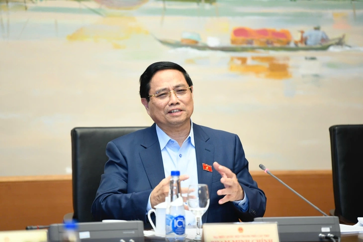 Thủ tướng - Ảnh 1.