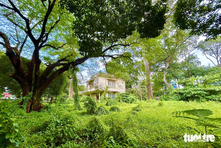 khu đất số 1 Lý Thái Tổ - Ảnh 1.