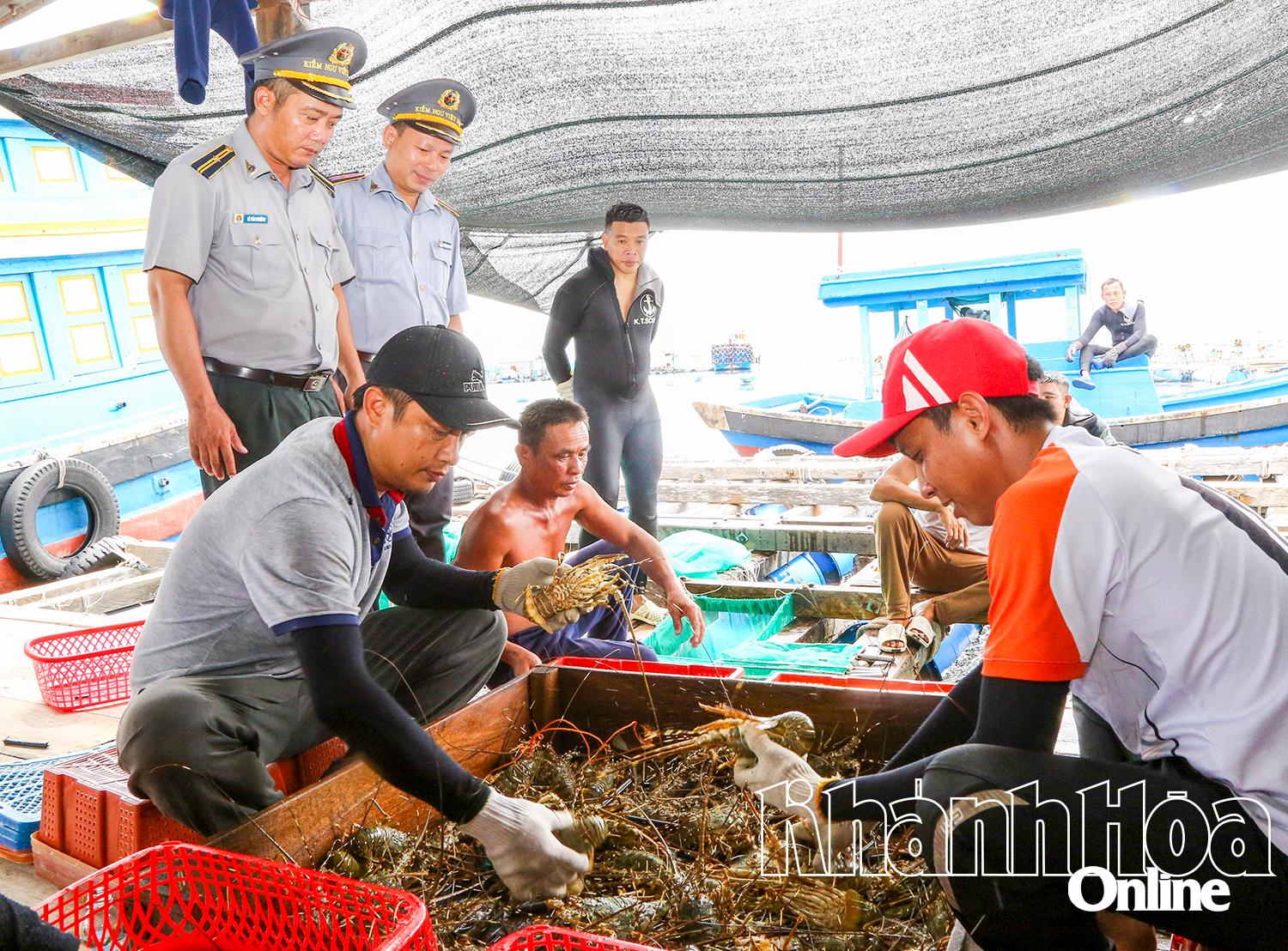 Cam Ranh - កម្លាំងប៉ុស្តិ៍ត្រួតពិនិត្យជលផល Truong Sa ផ្សព្វផ្សាយដល់ប្រជាជន ដើម្បីឆ្លើយតបយ៉ាងសកម្មចំពោះព្យុះ Kalmaegi ។