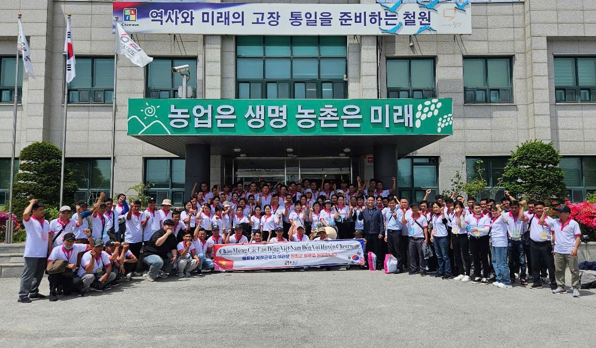 Din 2021 până în prezent, Dong Thap a avut aproximativ 11.000 de lucrători care lucrează în străinătate în baza unor contracte. Foto: Centru. Từ năm 2021 đến nay, Đồng Tháp có khoảng 11.000 lao động đi làm việc ở nước ngoài theo hợp đồng. Ảnh: Trung Tâm.