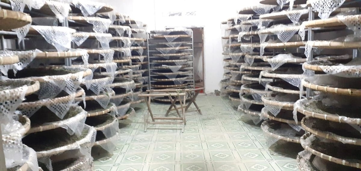 Mô hình nuôi tằm con. Ảnh: V.Đ.T.