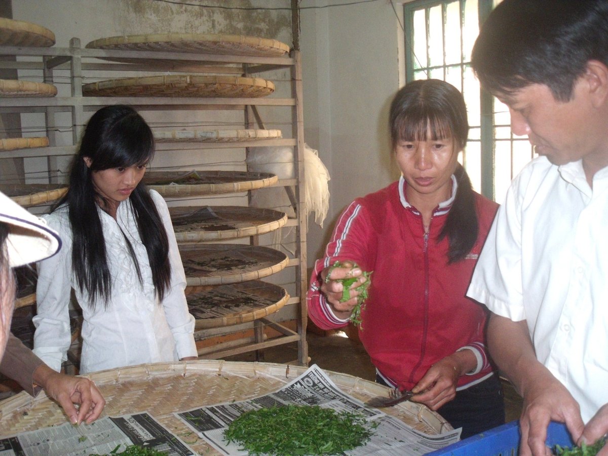 WASI chuyển giao tiến bộ kỹ thuật nuôi tằm cho nông dân theo kiểu cầm tay chỉ việc. Ảnh: V.Đ.T.