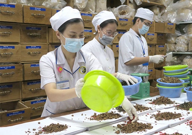 Phát triển y dược cổ truyền - mở lối cho công nghiệp dược Việt Nam hội nhập- Ảnh 1.