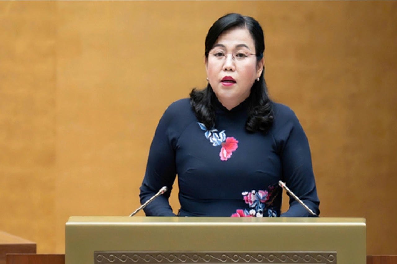 O presidente da Comissão de Ciência, Tecnologia e Meio Ambiente da Assembleia Nacional, Nguyen Thanh Hai, apresentou o relatório sobre a revisão do projeto de lei.