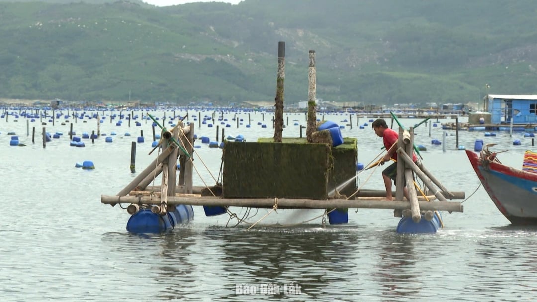 Ngư dân khu vực phía Đông tỉnh Đắk Lắk...