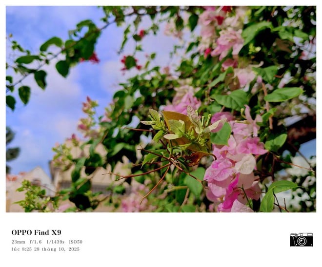 Trải nghiệm OPPO Find X9: bước tiến của nhiếp ảnh và hiệu năng di động - Ảnh 9.