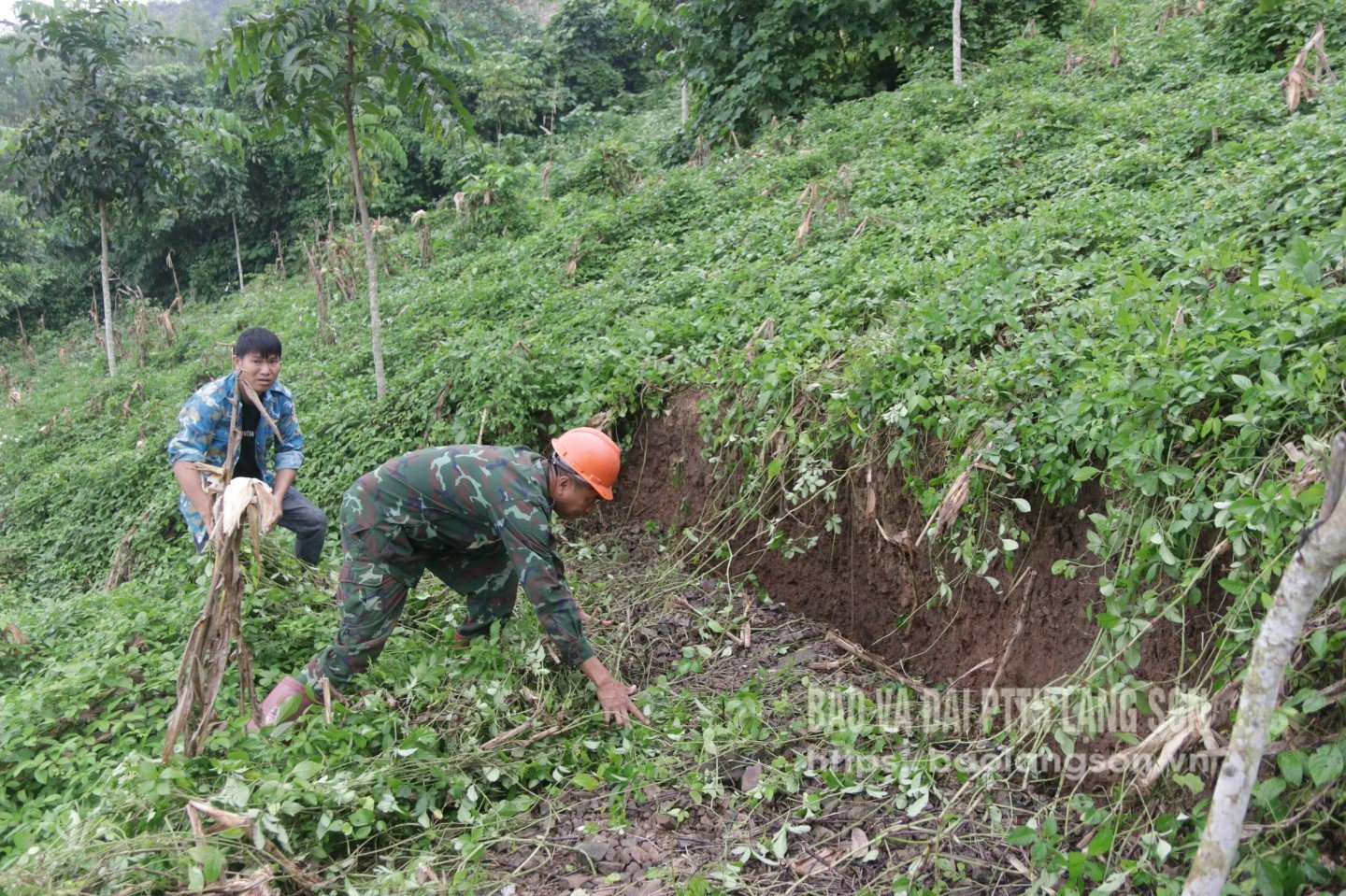 ប្រជាជនឃុំ Quoc Khanh ពិនិត្យចំណុចបាក់ស្រុត និងថ្នាំងនៅលើភ្នំដែលមានហានិភ័យខ្ពស់នៃការបាក់ដី។
