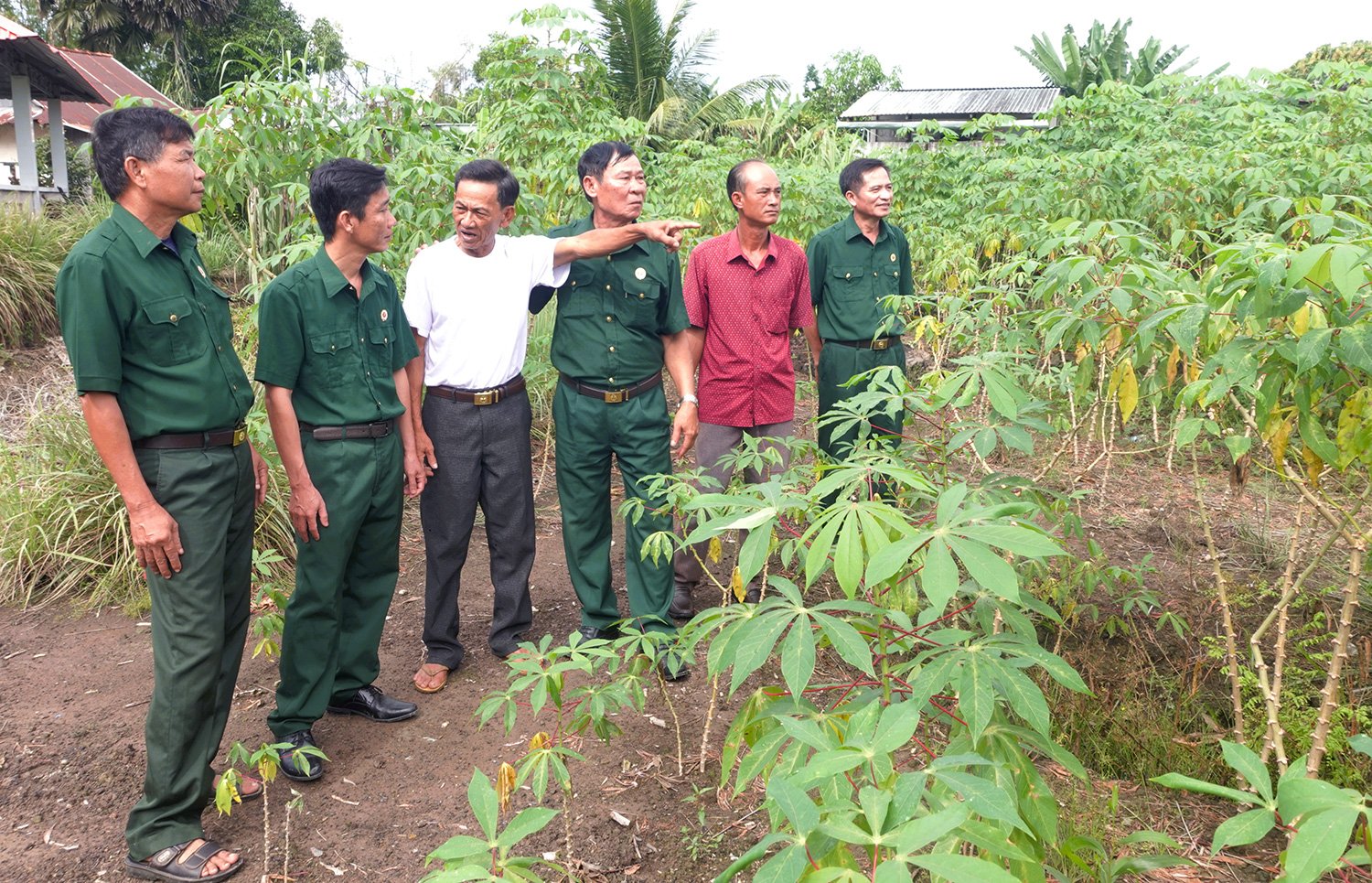 Żołnierz w czasie pokoju