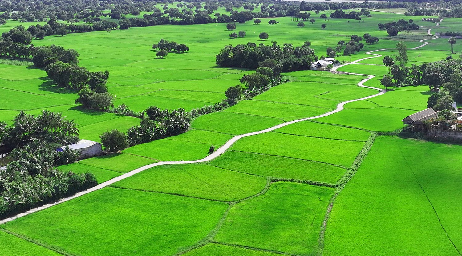 Deep green mountains