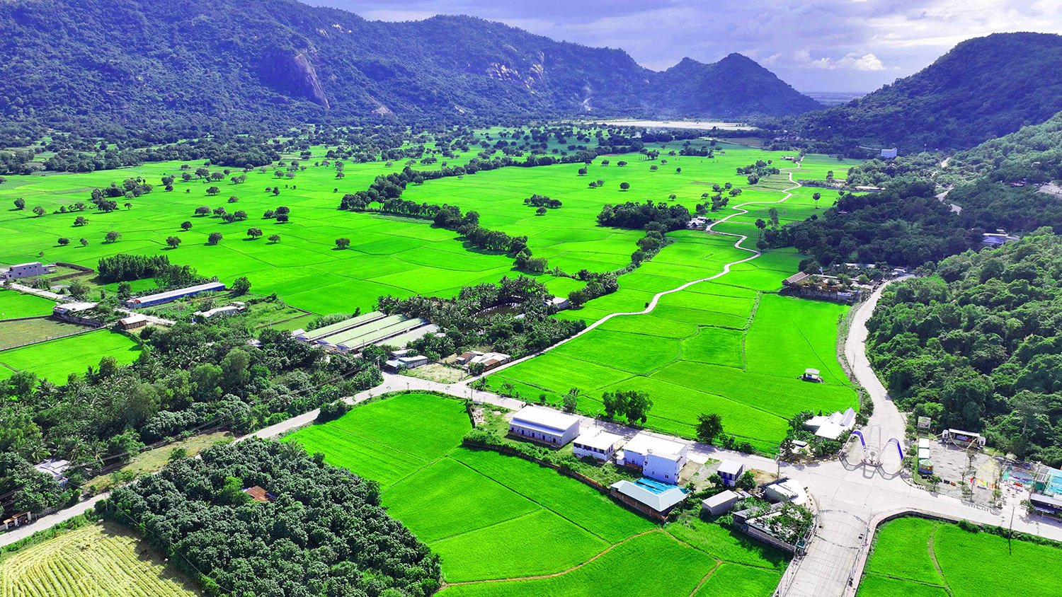 Deep green mountains