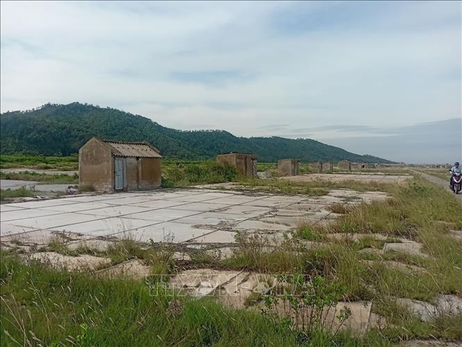 写真のキャプション