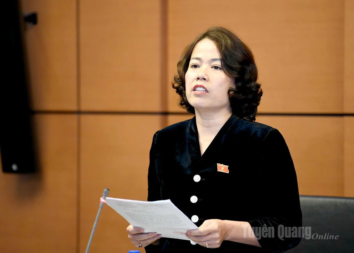 นายลี ถิ หลาน หัวหน้าคณะผู้แทนรัฐสภาจังหวัด กล่าวสุนทรพจน์ในการประชุมหารือ