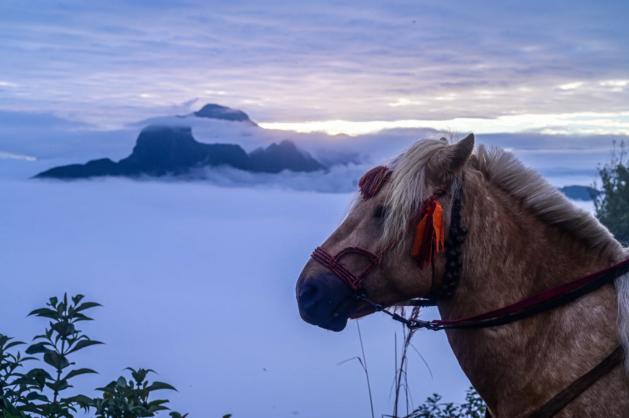 ແຕະເມກ Lao Than