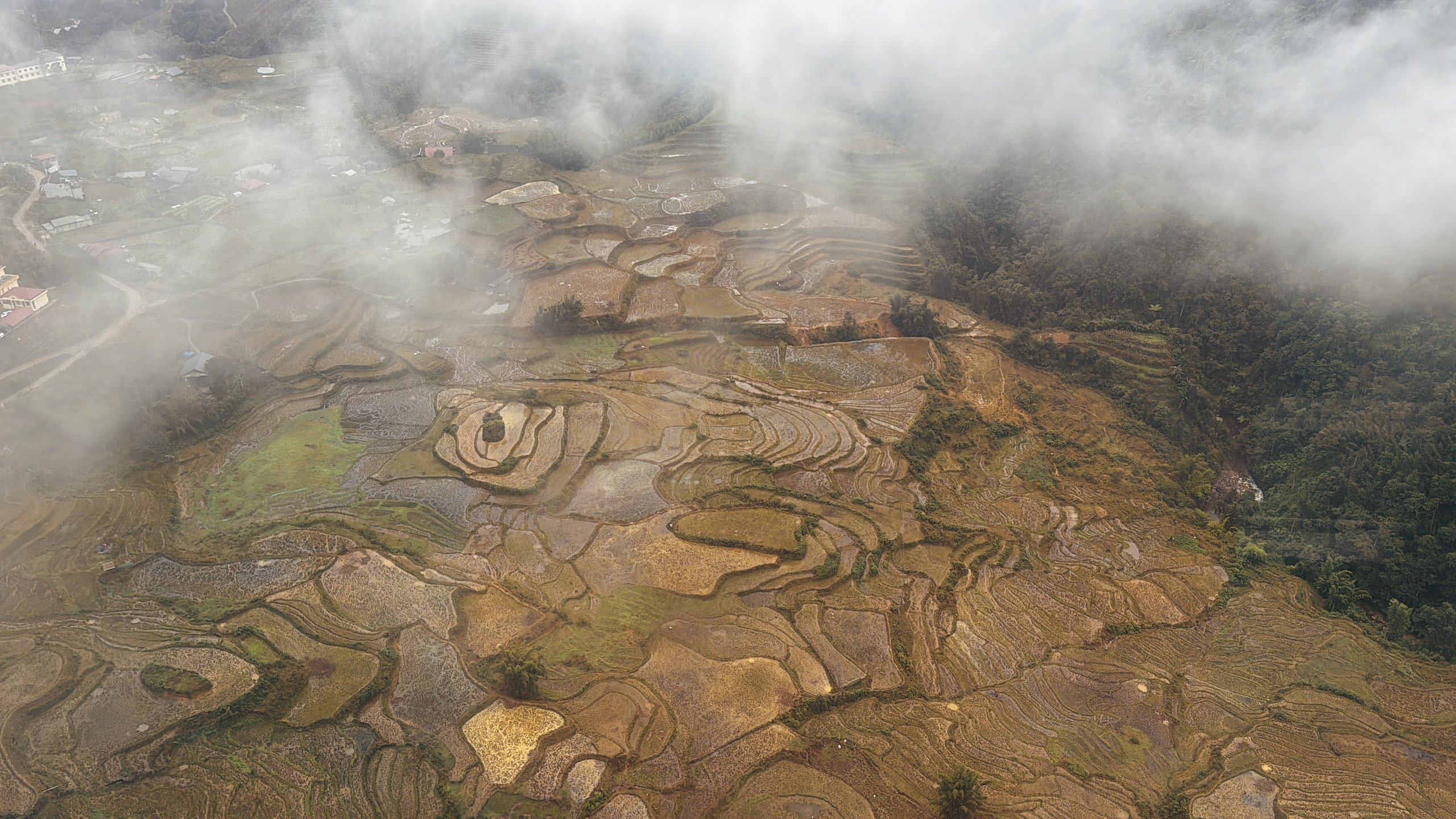 Leo Fansipan trong mù sương để cảm nhận 'kỳ tích Việt Nam'- Ảnh 2.