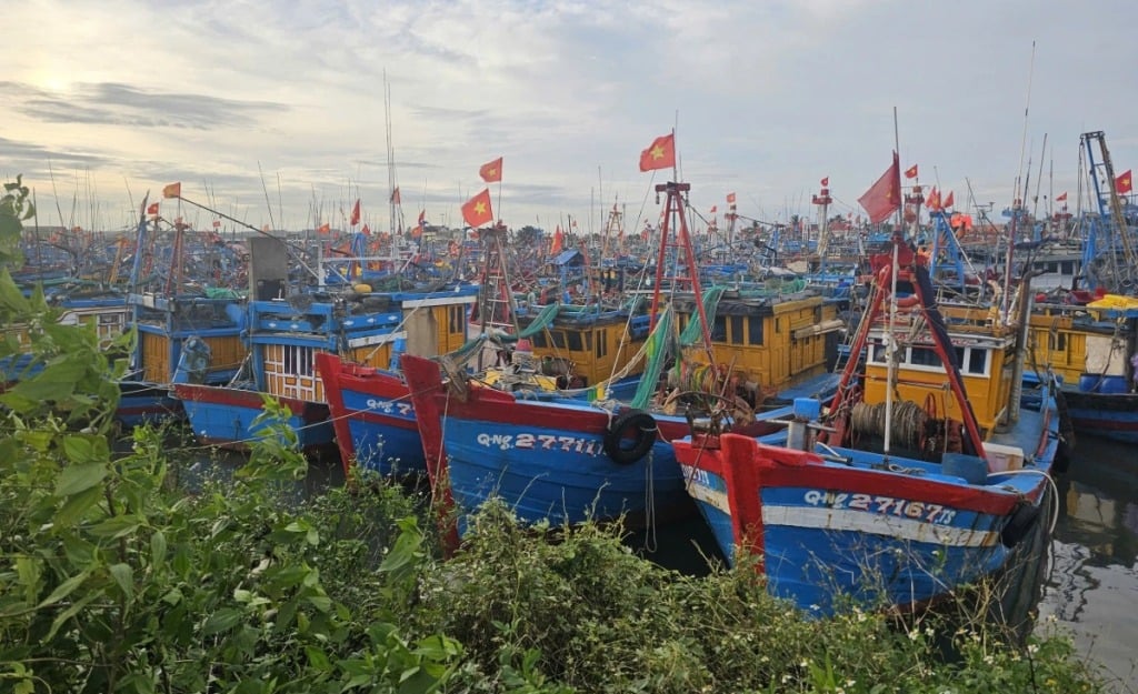 Lodě kotvící v rybářském přístavu Tinh Hoa, obec Dong Son, provincie Quang Ngai.