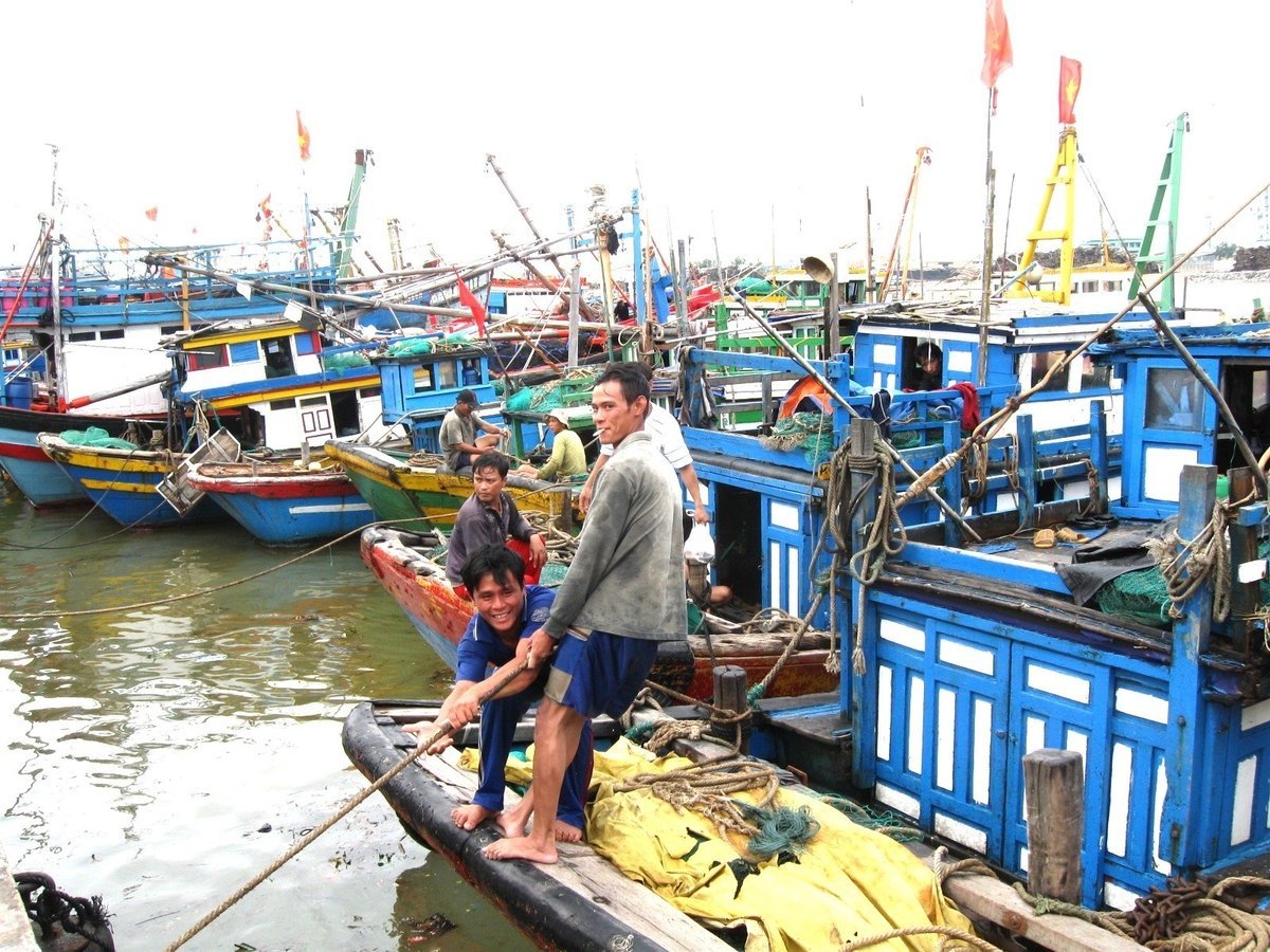 Ngư dân Gia Lai đưa tàu cá về neo đậu tránh trú bão số 13 tại Cảng cá Quy Nhơn. Ảnh: V.Đ.T.