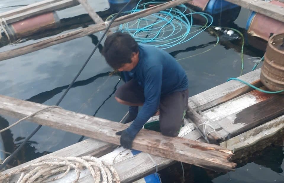 Người nuôi tôm vịnh Vũng Rô gia cố lồng bè đề phòng bão đánh bay. Ảnh: Trần Lan.