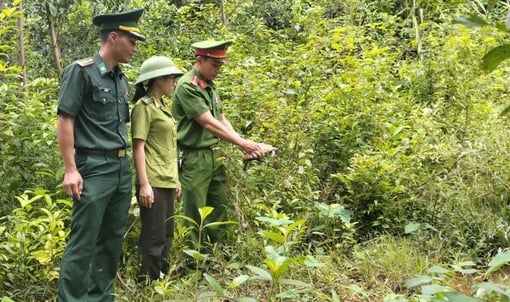 Người dân vùng biển bắt được con vật hiếm thấy - Ảnh 1.