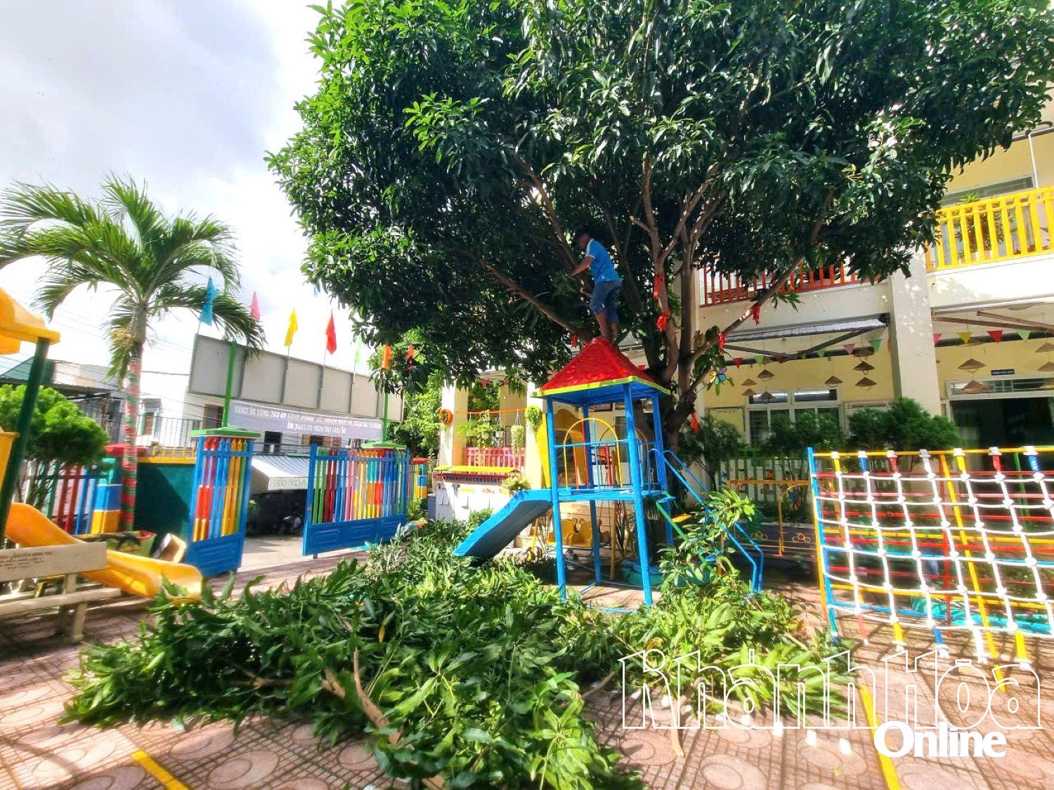 Beskärning av träd för att förhindra stormar på Vinh Tho-förskolan (norra Nha Trang-distriktet).