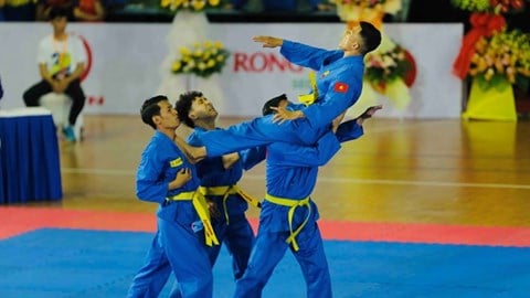 Vietnamese Vovinam competes at world championship