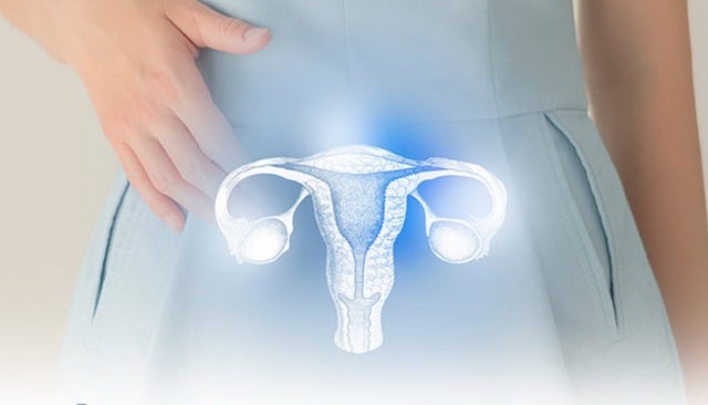 Mladé ženy a riziko neplodnosti v důsledku předčasného selhání vaječníků - Foto 1. Phụ nữ trẻ và nguy cơ vô sinh vì suy buồng trứng sớm- Ảnh 1.