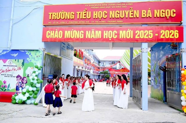 Bộ GD-ĐT yêu cầu Quảng Ninh tạm dừng sáp nhập trường học  - Ảnh 1.