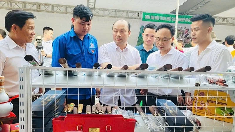 Bygging av OCOP-produkter – en løsning for å «holde fyr på» håndverkslandsbyer