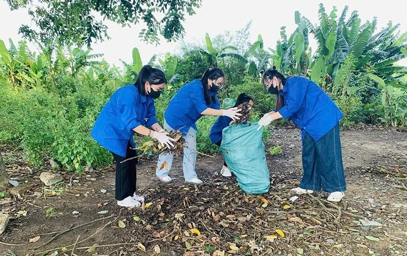 Miljøvern – praktiske tiltak fra hver organisasjon og enkeltperson