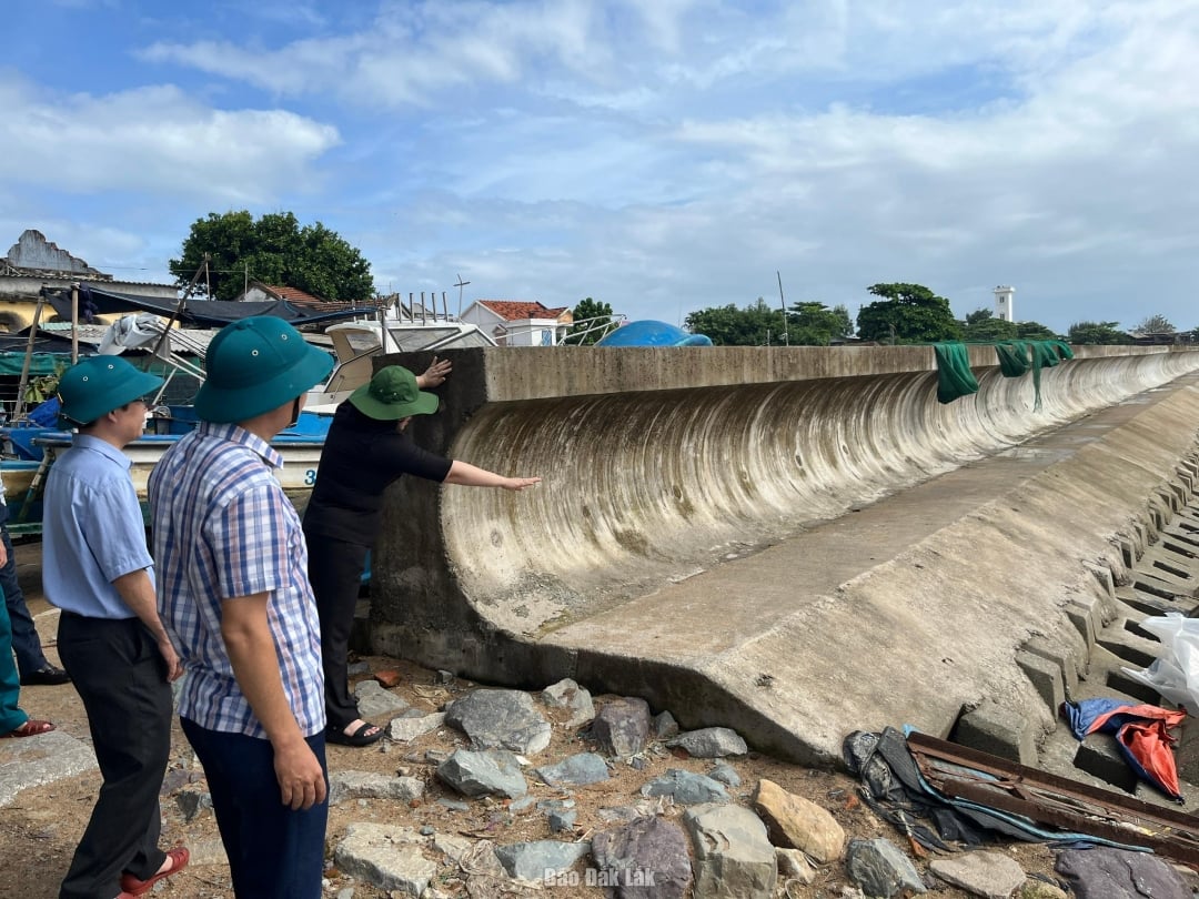 Liderii districtului Tuy Hoa inspectează digul portului de pescuit din districtul 1 Tran Hung Dao. Fotografie: Minh Duyen