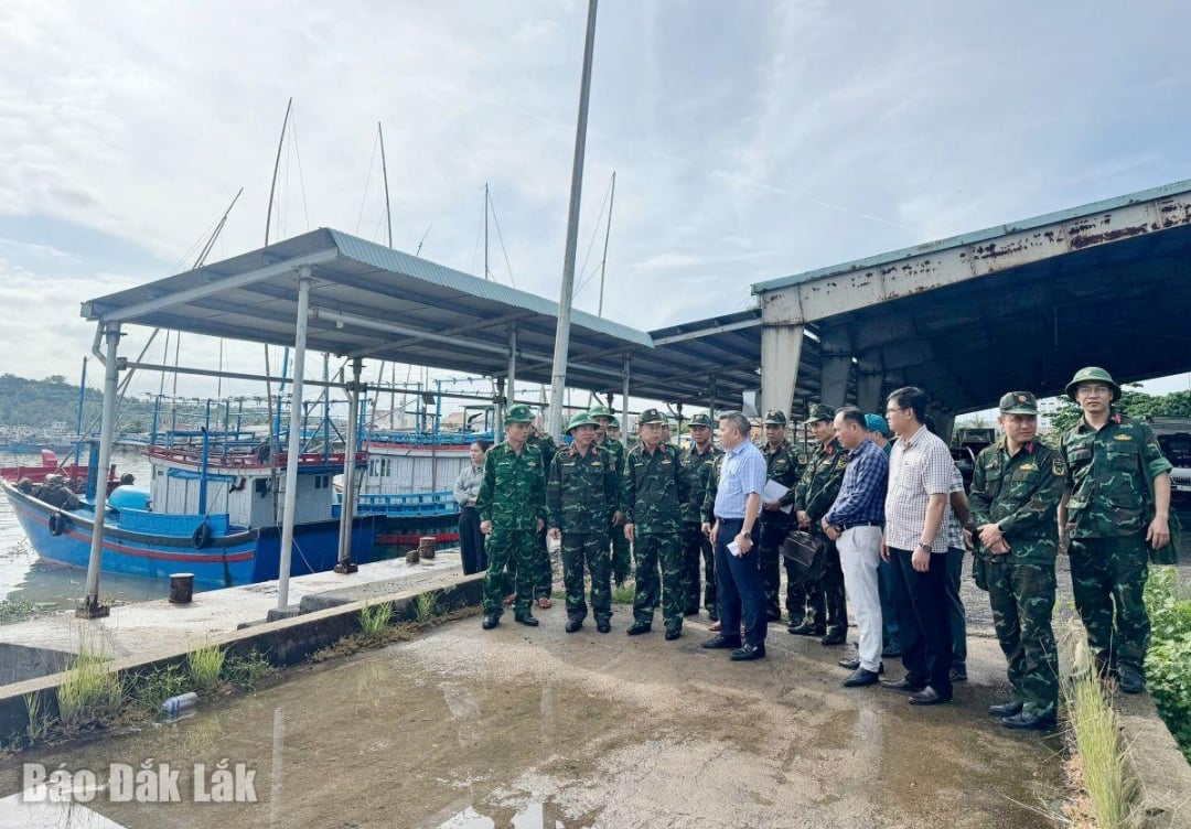 Έλεγχος εργασιών πρόληψης πλημμυρών και καταιγίδων στο αλιευτικό λιμάνι Tien Chau.