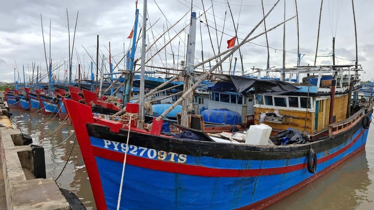 ກຳປັ່ນປະທະກັນຢູ່ທ່າກຳປັ່ນຫາປາ ດົງທາກ, ຕາແສງ ຝູອຽນ, ແຂວງ ດັກລັກ ເພື່ອຮັບມືກັບພະຍຸເລກ 13. ພາບ: ແມ້ງຮ່ວານາມ. Tàu neo đậu tại cảng cá Đông Tác, phường Phú Yên, tỉnh Đắk Lắk để ứng phó bão số 13. Ảnh: Mạnh Hoài Nam.