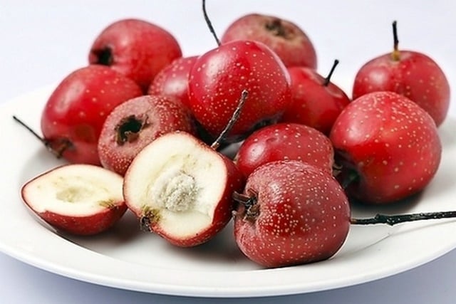 4 món cháo thuốc giúp phòng rối loạn tiêu hóa do lạnh- Ảnh 4.