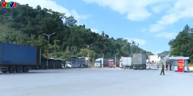 Xuất khẩu sầu riêng thông suốt trở lại - Ảnh 1.