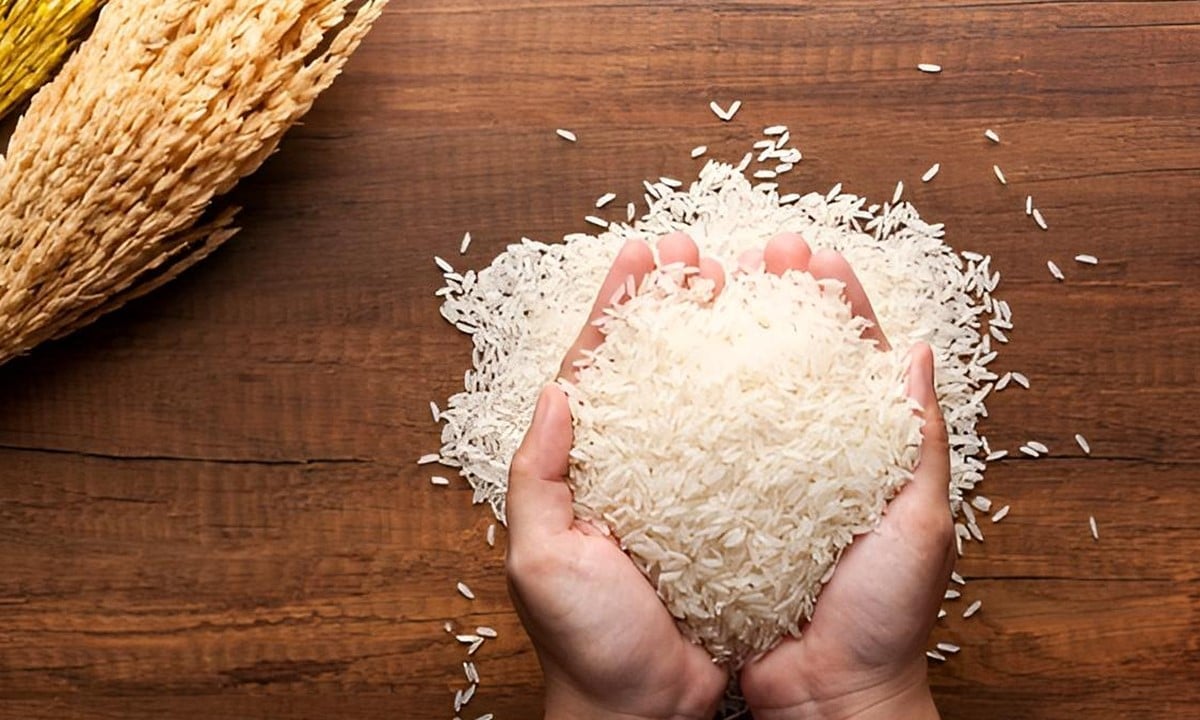 Cập nhật giá lúa gạo hôm nay 5/11/2025 mới nhất