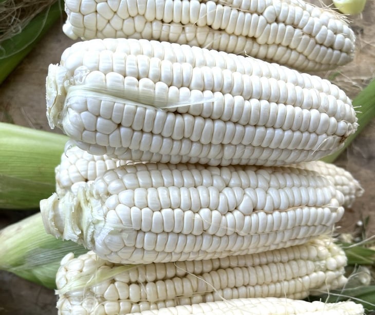 sức khỏe - Ảnh 1.