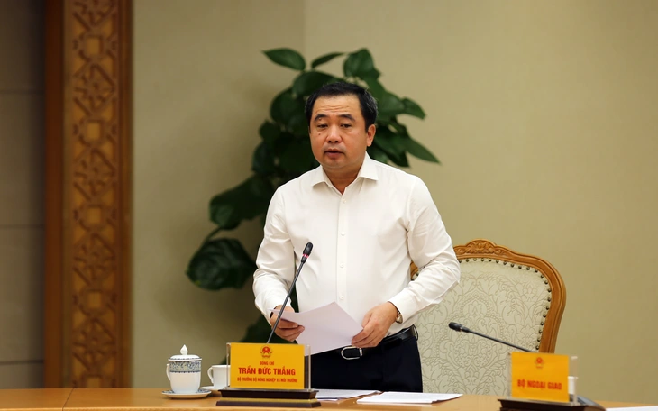 bão số 13 - Ảnh 1.