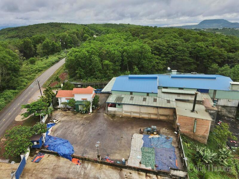 Továrna na výrobu falešné kávy pod značkou Thanh Khoi. Foto: Hien Mai